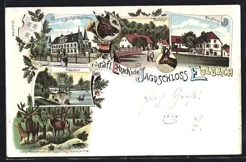 Lithographie Eulbach, Gräfl. Erbach`sches Jagdschloss, Forsthaus