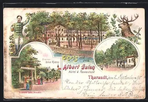 Lithographie Tharandt, Hôtel & Restaurant Albert Salon, Terrasse, Eingang