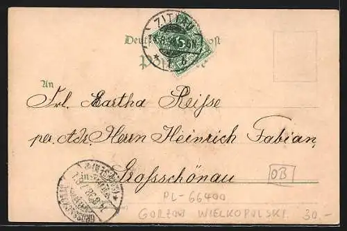 Lithographie Landsberg a. W., Paukschbrunnen, Kaiserl. Postamt, Marienkirche