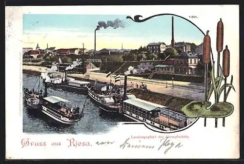 AK Riesa, Landungsplatz der Dampfschiffe