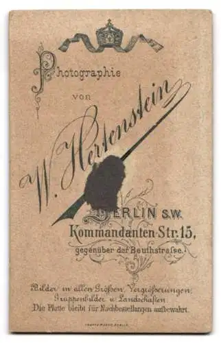 Fotografie W. Hertenstein, Berlin, Kommandanten-Str. 15, Junge Dame mit Hochsteckfrisur und Amulett