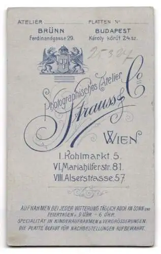 Fotografie Strauss & Co., Wien, Kohlmarkt 5, Halbwüchsiger Knabe im Anzug mit Fliege