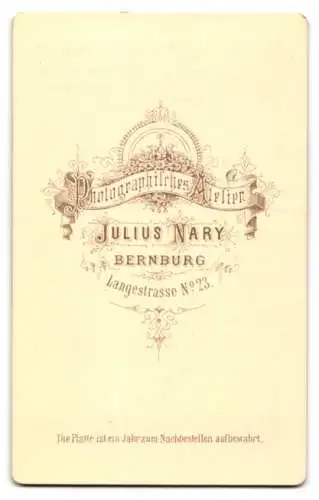 Fotografie Julius Nary, Bernburg, Langestrasse 23, Kleines Mädchen im karierten Kleid mit abwartendem Blick