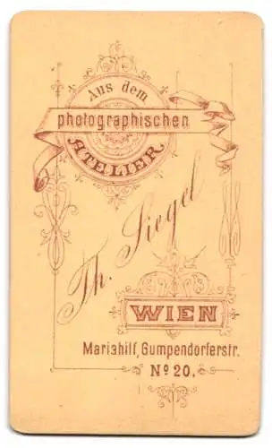 Fotografie Th. Siegel, Wien, Mariahilf, Gumpendorferstr. 20, Junger Herr im Anzug mit Fliege