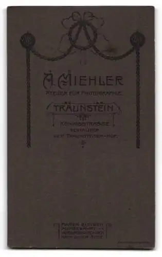 Fotografie A. Miehler, Traunstein, Königstrasse, Junger Mann mit pomadisiertem Seitenscheitel und Schnurrbart