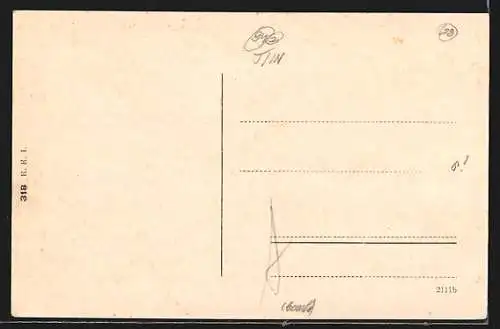 AK Steinach, Ortspartie mit Steidlerhof
