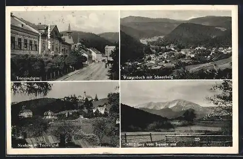 AK Weissenbach / Triesting, Triestingheim, Panorama, Blick vom Jagasitz auf den Ort