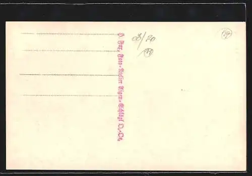 AK Aigen, Strassenpartie mit Brunnen