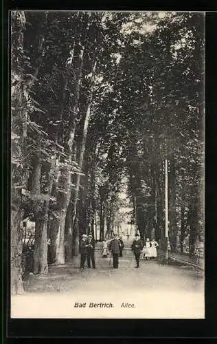 AK Bad Bertrich, Blick in die Allee