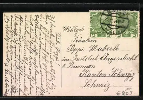 AK Malcesine, Ortsansicht mit Burg