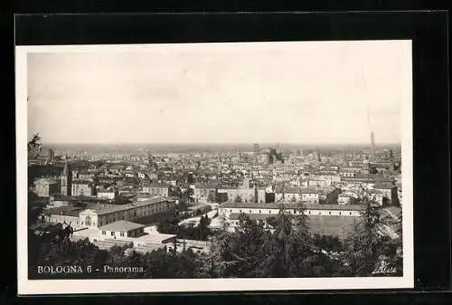 AK Bologna, Panorama