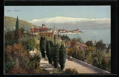 AK Fasano, Panorama