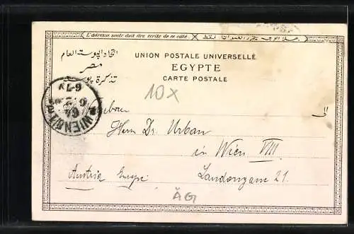 AK Port Said, Embarquement des chameaux