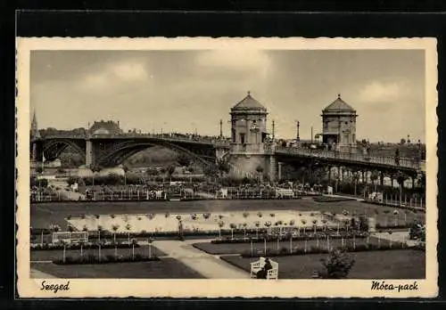 AK Szeged, Móra-park