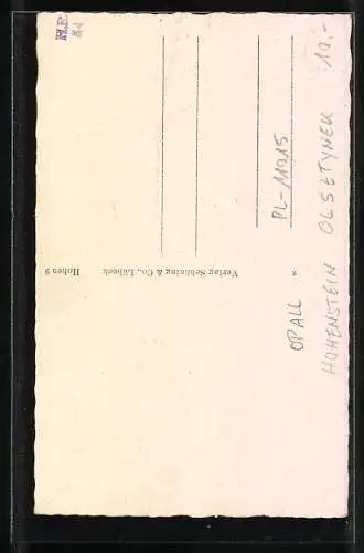 AK Hohenstein, Reichsehrenmal Tannenberg