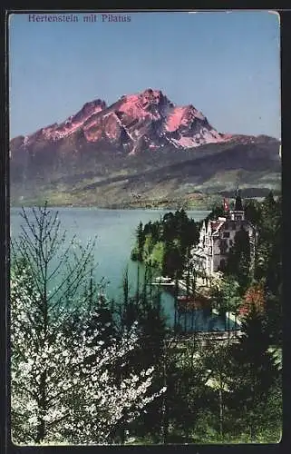 AK Hertenstein, Ortsansicht mit Pilatus