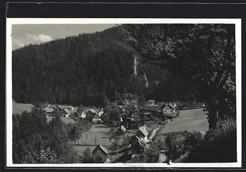 AK Krampen a.d. Mürz, Teilansicht mit Bäumen