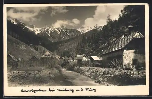 AK Karlgraben bei Neuberg, Ortspartie mit Bergen