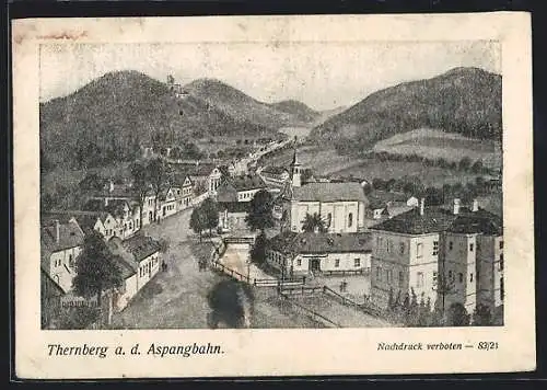 AK Thernberg a. d. Aspangbahn, Ortsansicht gegen die Burgruine