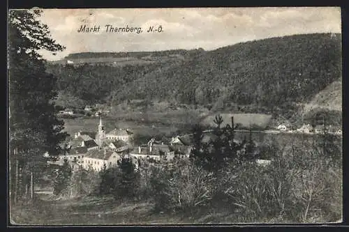 AK Thernberg /N.-Ö., Teilansicht mit Kirche