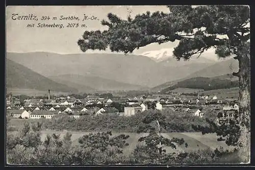 AK Ternitz, Gesamtansicht mit Schneeberg