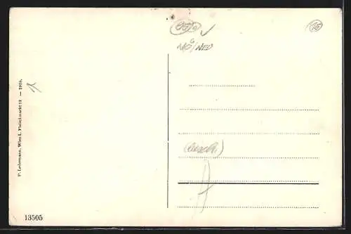 AK Ternitz, Gesamtansicht mit Schneeberg