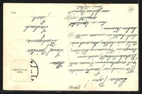 AK Ternitz /N.-Ö., Teilansicht