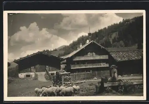 AK St. Johann i. Pongau, Schafe am Brunnen, im Hintergrund Häuser
