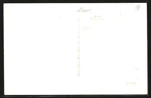 AK Scheiblingkirchen, Totalansicht aus der Vogelschau