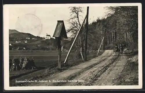 AK St. Johann bei Herberstein, Strassenpartie mit Flurkreuz, Im Hintergrund Kirche