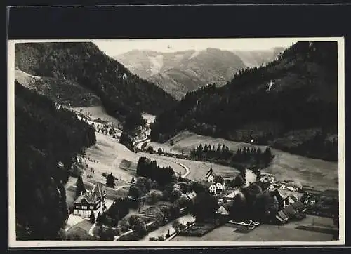 AK Mürzsteg a. d. Mürz, Ortsansicht aus der Vogelschau