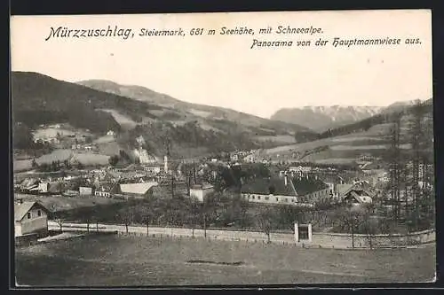 AK Mürzzuschlag, Ortspanorama von der Hauptmannwiese mit der Schneealpe