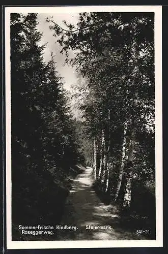 AK Kindberg /Steiermark, Am Roseggerweg