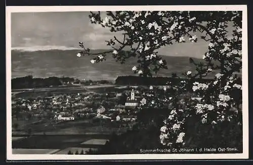 AK St. Johann i. d. Haide, Teilansicht mit blühenden Bäumen