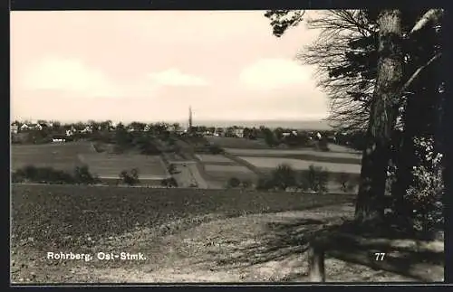 AK Rohrberg /Ost-Stmk., Ortspanorama vom Waldrand aus