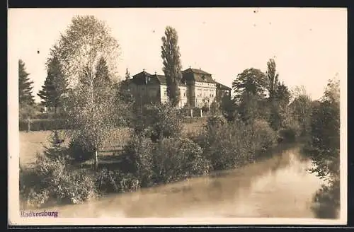 AK Radkersburg, Blick vom Fluss auf das Schloss