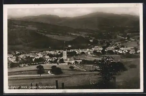 AK Hainfeld /N.-Ö., Blick gegen Gerichtsberg