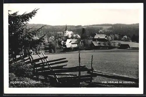 AK Edelschrott, Modriach, Teilansicht mit Feld, Zaun und Tanne