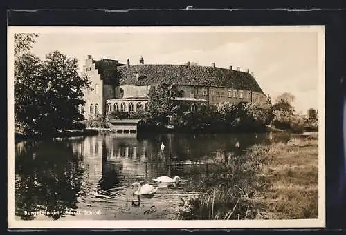 AK Burgsteinfurt, Schwäne auf dem Fluss am Fürstlichen Schloss