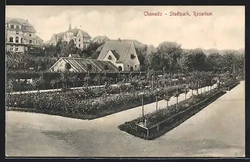 AK Chemnitz, Stadtpark, Rosarium