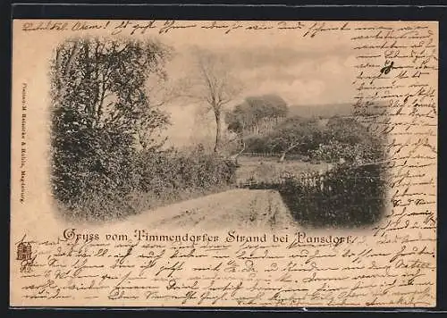 AK Timmendorfer Strand bei Pansdorf, Wegpartie mit Blick ins Grüne