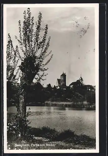 AK Besigheim / Neckar, Teilansicht mit Neckar