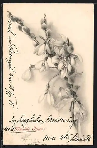 Künstler-AK M. Munk Nr. 221: Kätzchenzweig mit Blüten, Ostergruss
