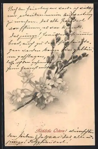 Künstler-AK M. Munk Nr. 221: Kätzchenzweig mit Blüten, Ostergruss