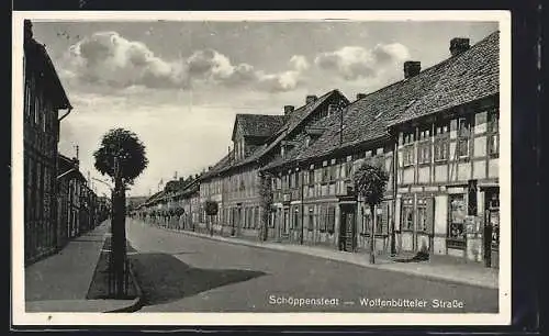 AK Schöppenstedt, Partie in der Wolfenbütteler Strasse