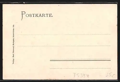 Künstler-AK Oberreichenbach / Württ., Strassenpartie mit Rathaus, Gasthaus zum Lamm, Mobilmachung 1905, Karikatur