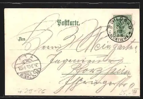 Passepartout-Lithographie Bad Wildbad, Blick in die Olgastrasse, Muschel