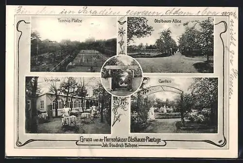 AK Hannover, Gasthaus Herrenhäuser der Obstbaum-Plantage, Obstbaum-Allee