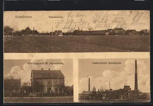 AK Schellerten, Gasthaus W. Blumenberg, Zuckerfabrik, Totalansicht