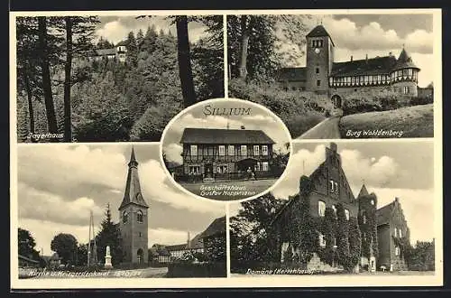 AK Sillium, Geschäftshaus Gustav Hoppmann, Burg Wohldenberg, Jägerhaus, Domäne